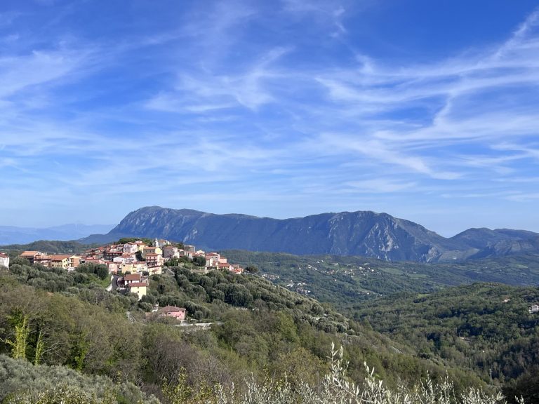 Cuccaro