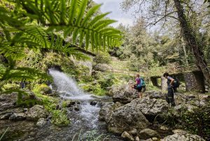 cascata morigerati